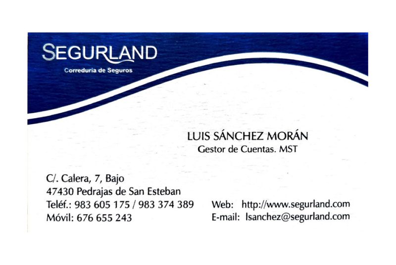 LUIS SÁNCHEZ MORÁN (SEGURLAND Correduría de Seguros)